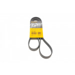 Ремінь генератора VW T5/Golf 2.3-3.2 V6 03-09/Audi A4/A6/Q5 2.0TDI 08-17 