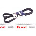 Ремінь генератора MB Vito (W639)/Sprinter 906 M272/ VW Passat /Audi 2.5TDI (6PK2404) 