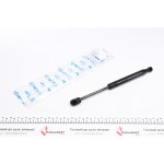 Амортизатор капоту BMW X3 (E83) 03-10 