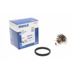 Термостат Fiat Ducato/Ford Transit 2.2 D/TDCI 06- 