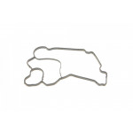 Прокладка термостата BMW 3 (G20/G80/G28)/5 (G30/F90)/7 (G11/G12) 16- B57 D30 