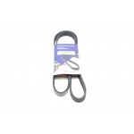 Ремінь генератора Citroen Berlingo 1.6/Peugeot Partner 1.4i 96- (5PK1218) 