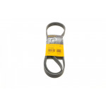 Ремінь генератора Renault Laguna 2.0 95-01/Audi A3 3.2 03-09/Ford Kuga 2.0TDCi 13- 