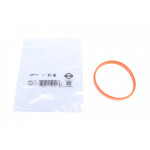 Прокладка колектора впускного BMW 5 (E39) 89-03 