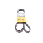 Ремінь генератора Kia Sorento 2.5 CRDI 06-/Land Rover Discovery/Range Rover 88-04 