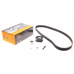 Комплект ГРМ Audi A4/A6/VW Caddy II/Golf III/Passat 1.9TDI 96-04 (25.4x137z) 