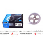 Шестерня розподільного валу Renault Trafic 1.9dCi 01- (F9Q) 