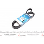 Ремінь генератора Renault Espace 3.0dCi 02- 