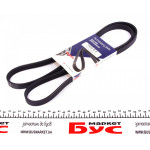 Ремінь генератора Ford Transit 2.5D/TD 92-00 (4PK1482) 