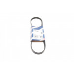 Ремінь генератора Fiat Doblo 1.2 01- (AC) (4PK841) 