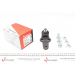 Опора кульова (передня/знизу) Ford Focus 98-04 