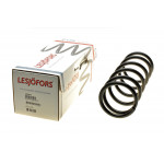 Пружина (задня) Nissan Teana 2.0/2.3 03-08 (седан) 