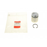 Поршень супорта (заднього) Audi A4/VW Passat 00-05 (43x51,3mm) (Lucas) 