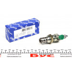 Свічка розжарювання DAF/Renault (19V) (M20x1.5) (пламенна) 