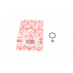 Кільце ущільнююче (топливна система) VW Bora/Golf/Passat/T5 1.4-3.2 91-09 (к-кт 2 шт) (бензин) 