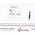 Болт кріплення форсунки Citroen Berlingo 1.6 HDI/Ford Focus 1.6TDCI 01-12 