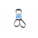 Ремінь генератора Skoda Fabia/VW Passat B6/B7 09-14/Citroen Berlingo/Peugeot 98- (6PK1698) 