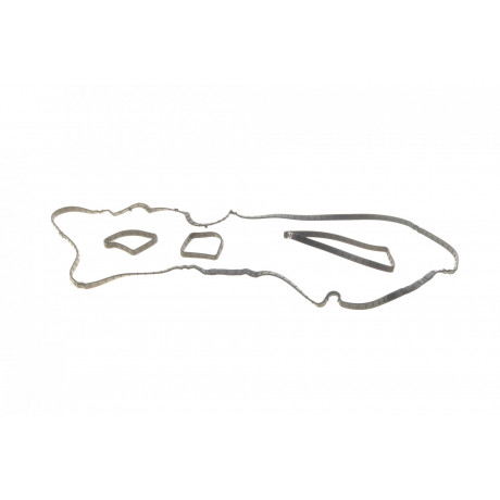 Прокладка кришки клапанів Ford Focus/Mondeo 2.0 ST/SCTi 10- (к-кт)