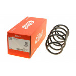 Пружина (передня) Skoda Fabia 1.4-1.6TDI/1.9SDI/TDI/2.0 99-14/Roomster 1.2TDI/1.6TDI/1.9TDI 06-15 