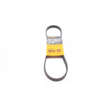 Ремінь генератора BMW 3 (E46)/5 (E39) 1.8D/2.0D 98-03 (5PK836) 