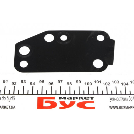 Прокладка помпи води Ford Transit 2.4 TDCI 00-06