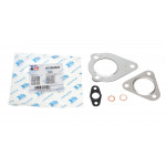 Комплект прокладок турбіни VW Passat 1.9 TDI 96-97 