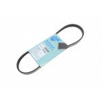 Ремінь генератора Fiat Doblo 1.4i 01-/Chevrolet Aveo 1.2 04-08/Matiz/Kaloz 0.8-1.0 05-/Spark 0.8 05- 