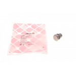 Болт зливу оливи VW Caddy III/T4/T5/T6/Crafter 