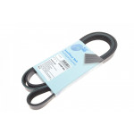 Ремінь генератора Audi A4/ A6/ VW Passat 1.9 TDI 95-01 