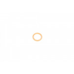 Шайба під форсунку Citroen/Peugeot 1.9 (15,5x 21x 2) 