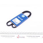 Ремінь генератора Ford Transit 2.4D 77-85/VW T3 1.6-2.0 76-86 (10x1175) 