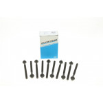 Болти головки (к-кт 10шт.) Renault Kangoo 1.5dCi, K9K 