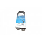 Ремінь генератора Peugeot Boxer 2.5D/TD 94-02 (ALT,PS) 