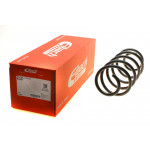 Пружина (передня) Citroen Berlingo 1.6HDI/1.6 08-/С4 Picasso/Grand Picasso 2.0HDi 06-13 (OE-Replac) 