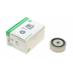 Ролик генератора Iveco Daily II/III/Renault Mascott 98-04 (паразитний) (60x22) 