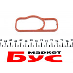 Прокладка помпи води MB Sprinter OM651 2.2CDI 09- 