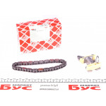 Комплект ланцюга ГРМ VW Golf/Passat 2.0 FSI 04-10 