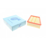 Фільтр повітряний Renault Scenic IV/Megane IV 1.2TCe 15- 