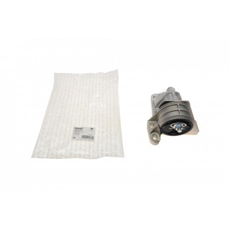 Подушка двигуна (L) Fiat Ducato 2.0/2.3D 02-