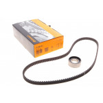 Комплект ГРМ Citroen Jumpy/Peugeot Expert 1.6i 95-00/Fiat Scudo/Punto 1.4/1.6 94-06 (15x138z) 