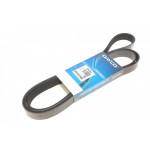 Ремінь генератора Honda Accord 2.2 i-CDTi 04-08 