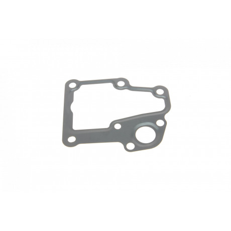 Прокладка термостату Citroen C4/C5/Peugeot 307/308/407 04-