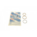 Прокладка форсунки ущільнююча Iveco Trakker/New Holland 