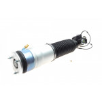 Амортизатор (задній) (L) BMW 7 (F01-F04) 08-15 (пневмо) N52/N54/N55/N57/N63 