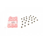 Сальник клапана (впуск/випуск) VW T4 2.8 VR6/T5 3.2 V6 00-09 (к-кт 24шт) 