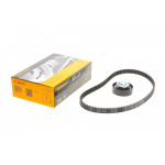 Комплект ГРМ Renault Kangoo/Dacia Dokker/Lodgy/Logan/Sandero 1.4/1.6i 04- (17x96z) 