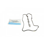 Прокладка кришки клапанів Renault Clio/Kangoo 1.2 TCe/Nissan Qashqai 1.2 DIG-T 13- 