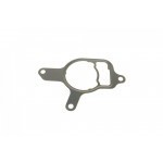 Прокладка насоса вакуумного VW Golf VI/Jetta III/IV 2.5 06- 