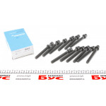 Болти головки (к-кт 12шт.) VW LT/T4/Crafter 2.5TDI 