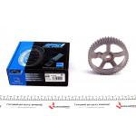 Шестерня розподільного валу Renault Kangoo/Master/Trafic II 1.9 dCi 01- 